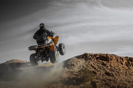 Quad Bike & Buggy At Lalla Takerkoust Lake With Lunch