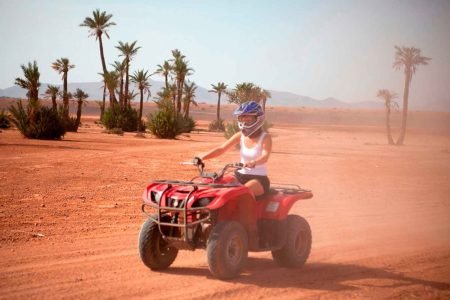 Half Day Marrakech Quad Biking in Plameraie grove